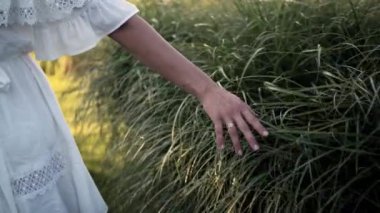 Beyaz elbiseli bir kız ellerini uzun otların arasında koşuyor. Gün batımında tarlalarda yürüyorum. 4k video, yavaş çekim.