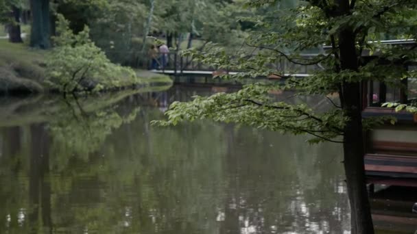湖面上方的树木和云彩的反射 动作缓慢 湖边的绿色植物和芦苇 — 图库视频影像