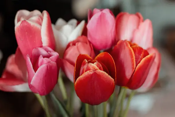 Mix of spring tulips. Tulips bouquet. Holiday decor with flowers. Bouquet with colorful tulips. Spring tulips, bouquet.