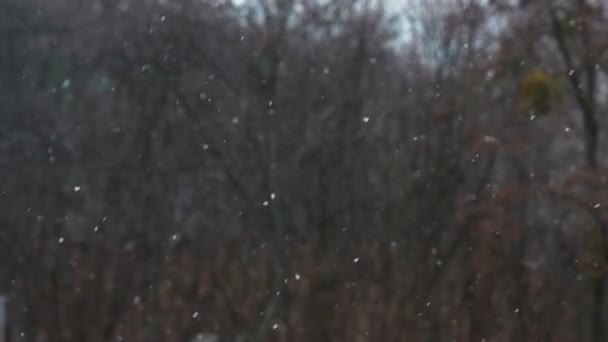 Nieve Cae Paisaje Invernal Través Ventana Casa Filmación Nieve Cayendo — Vídeo de stock