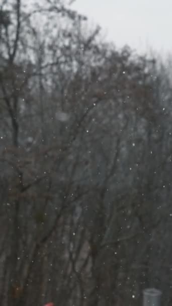 Havazik Téli Táj Ablakon Keresztül Házban Képek Havazásról Fák Homályos — Stock videók