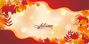 autumn background vector illustration design. dry leaves illustration