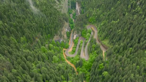 山の中で曲がりくねった道の空中ビューは 上のビューのための高高度と低カメラの角度からドローンから撮影した ルーマニアのビカズ地域の山の中の蛇紋岩の道のビデオ — ストック動画