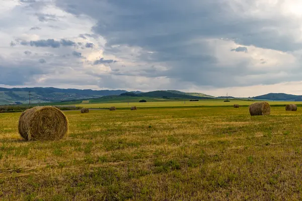 Yazın saman balyaları olan bir tarlanın kırsal manzara fotoğrafçılığı. Fotoğraf gün ortasında bulutlu gökyüzü ile çekildi..