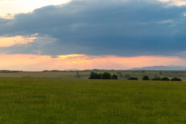 Yazın, bulutlu havada, gün batımında, çayırlarda ve tahıl tarlalarında çekilmiş kırsal manzara fotoğrafçılığı.. 