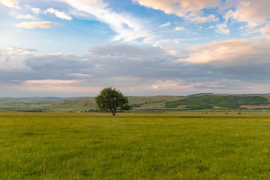 Yazın, bulutlu havada, gün batımında, çayırlarda ve tahıl tarlalarında çekilmiş kırsal manzara fotoğrafçılığı.. 