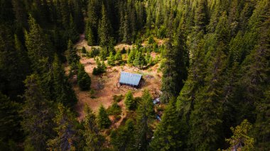 Karpat Dağları 'nın derinliklerinde bir dağ sığınağı kulübesinin havadan görünüşü. Ormanın ortasında bir kulübe. Yukarıdan görüldü..