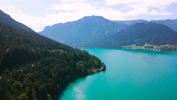 Vogels Kijken Uit Het Achen Meer Tirol Oostenrijk Video Van — Stockvideo