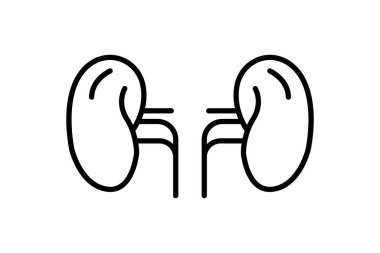 Böbrek ikonu çizimi. İç organla ilgili bir ikon. Satır simgesi tarzı. Basit vektör tasarımı düzenlenebilir