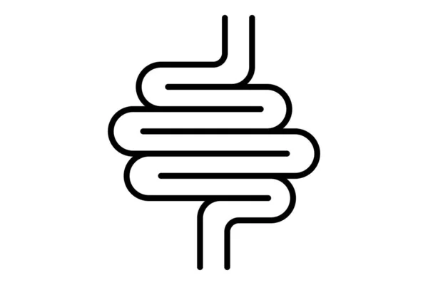 stock vector Intestines icon illustration. icon related to internal organ. Line icon style. Simple vector design editable