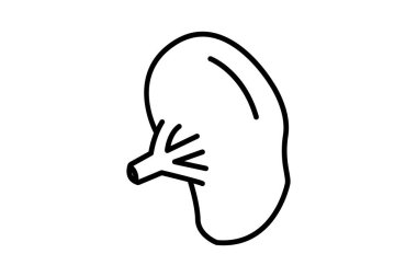 Dalak ikonu çizimi. İnsan organıyla ilgili bir ikon. Satır simgesi tarzı. Basit vektör tasarımı düzenlenebilir