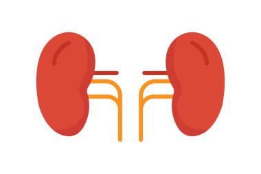 Böbrek ikonu çizimi. İnsan organıyla ilgili bir ikon. Düz simge tarzı. Basit vektör tasarımı düzenlenebilir