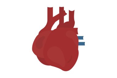 Kalp ikonu çizimi. İnsan organıyla ilgili bir ikon. Düz simge tarzı. Basit vektör tasarımı düzenlenebilir