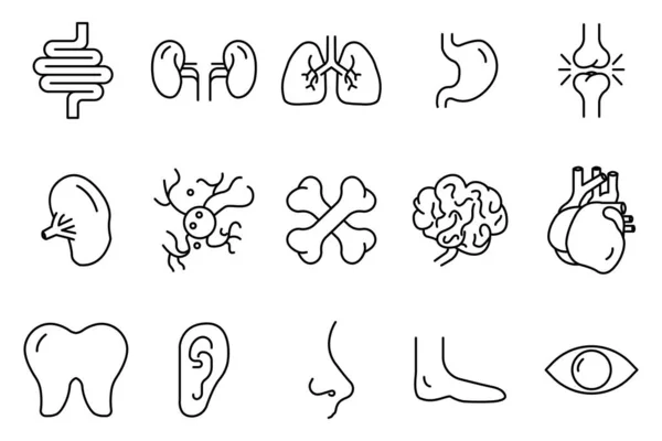 Ikona Ludzkich Organów Jelita Nerki Płuca Żołądek Stawy Śledziona Mózg — Wektor stockowy
