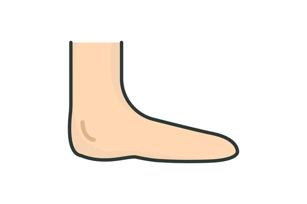人間の足のアイコンイラスト 人間の臓器に関するアイコンです フラットラインアイコンスタイル シンプルなベクトルデザイン編集可能 — ストックベクタ