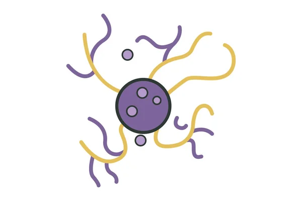 Illustration Des Neuronen Symbols Symbol Zusammenhang Mit Menschlichen Organen Flache — Stockvektor