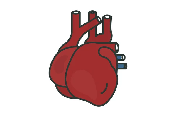 Ilustración Del Icono Del Corazón Icono Relacionado Con Órgano Humano — Archivo Imágenes Vectoriales
