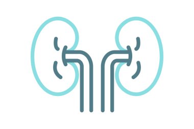 Böbrek ikonu. çizgi simgesi tarzı. Sıhhiyeyle ilgili bir ikon. sağlık elemanları vektör illüstrasyonu