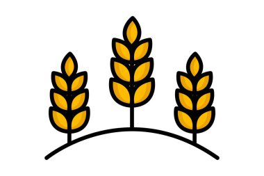 Buğday ikonu. Renkli taslak simge biçimi. Zımba ekinleri ve hasatla ilgili bir ikon. tarım elementleri vektör illüstrasyonu