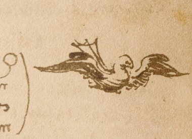 Taslak, çizimler, Leonardo Da Vinci 'nin eski kitabı The Codice Sul Volo' daki kuş, E. Rouveyre, 1893