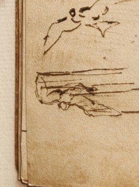 Taslak, çizimler, kuşlar Leonardo Da Vinci 'nin eski kitabı The Codice Sul Volo' da uçuşu, E. Rouveyre, 1893
