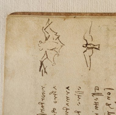 Taslak, çizimler, Leonardo Da Vinci 'nin kuşları eski kitabı The Codice Sul Volo, E. Rouveyre, 1893