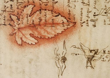 Taslak, çizimler, kırmızı yaprak, Leonardo Da Vinci 'nin eski kitabı The Codice Sul Volo' nun taslakları, E. Rouveyre, 1893