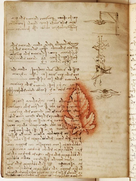 stock image Manuscript, drawings, red leaf by Leonardo Da Vinci in the old book The Codice Sul Volo, by E. Rouveyre , 1893