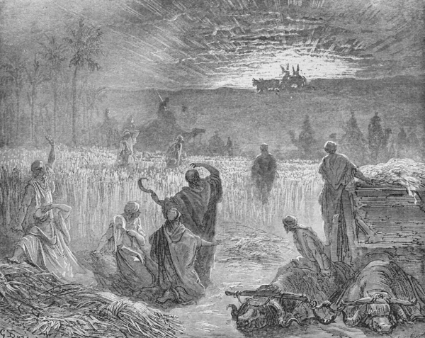 Powrót Arki Przymierza Starej Księdze Biblia Obrazach Doreh 1897 — Zdjęcie stockowe