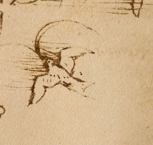 Χειρόγραφο Σχέδια Πουλί Του Λεονάρντο Ντα Βίντσι Στο Παλιό Βιβλίο — Φωτογραφία Αρχείου