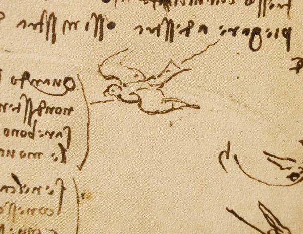 Rękopis Rysunki Plany Ptaki Leonarda Vinci Starej Książce Codice Sul — Zdjęcie stockowe