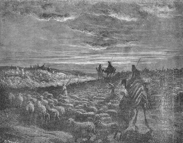 Shepherds Graze Sheep Old Book Bible Pictures Doreh 1897 — Stock Photo, Image
