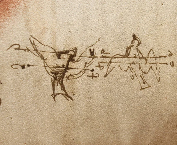 Рукопись Рисунки Птицы Леонардо Винчи Старой Книге Codice Sul Volo — стоковое фото