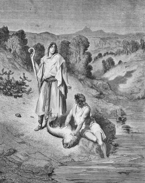 Tovia Angel Dans Ancien Livre Bible Images Par Doreh 1897 — Photo