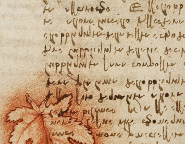 Manuscrit Dessins Feuilles Rouges Plans Léonard Vinci Dans Ancien Livre — Photo