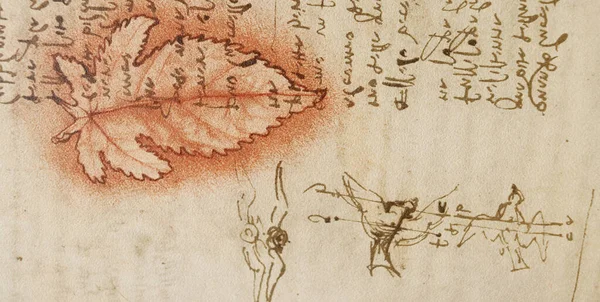 Manuscript Drawings Red Leaf Blueprints Leonardo Vinci Old Book Codice — Stock Photo, Image