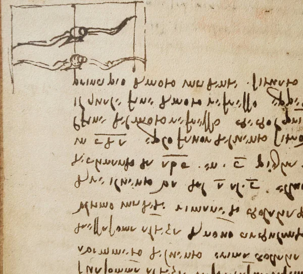 Manuscrito Dibujos Inscripciones Pájaros Leonardo Vinci Viejo Libro Codice Sul —  Fotos de Stock