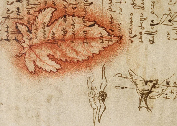 Manuscrit Dessins Feuilles Rouges Plans Léonard Vinci Dans Ancien Livre — Photo