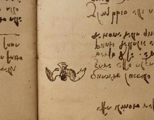 Manuscript Tekeningen Blauwdrukken Vogel Van Leonardo Vinci Het Oude Boek — Stockfoto