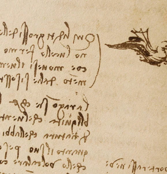 Manuskript Teckningar Inskriptioner Fåglar Leonardo Vinci Den Gamla Boken Codice — Stockfoto