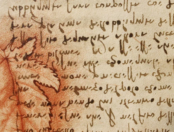 Rękopis Rysunki Czerwony Liść Plany Leonarda Vinci Ego Starej Książce — Zdjęcie stockowe