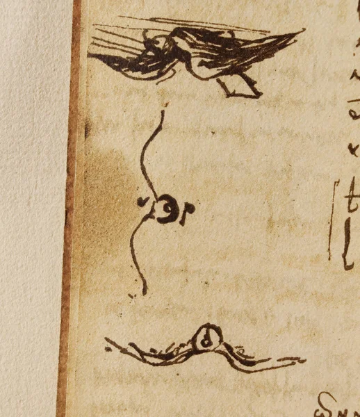 Rękopis Rysunki Ptaki Leonarda Vinci Starej Książce Codice Sul Volo — Zdjęcie stockowe