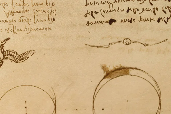 Manuscrito Dibujos Planos Pájaro Leonardo Vinci Viejo Libro Codice Sul —  Fotos de Stock