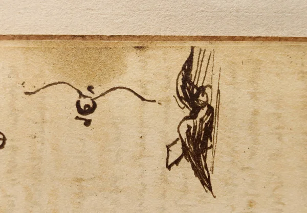 Рукопись Рисунки Птицы Леонардо Винчи Старой Книге Codice Sul Volo — стоковое фото