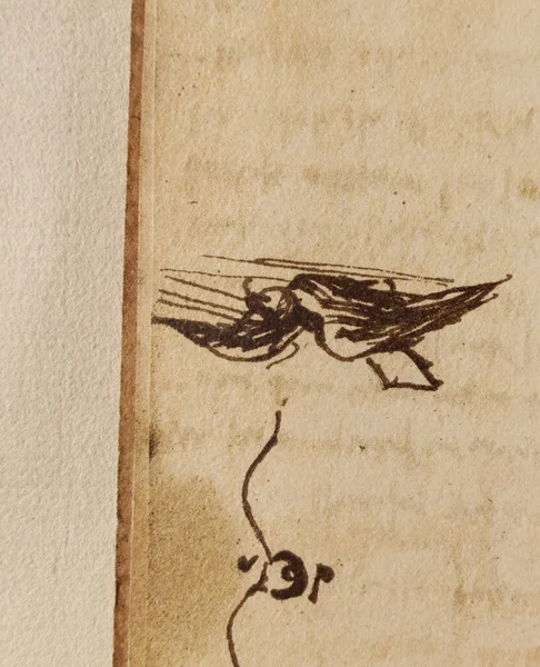 Manoscritto Disegni Uccelli Leonardo Vinci Nel Vecchio Libro Codice Sul — Foto Stock