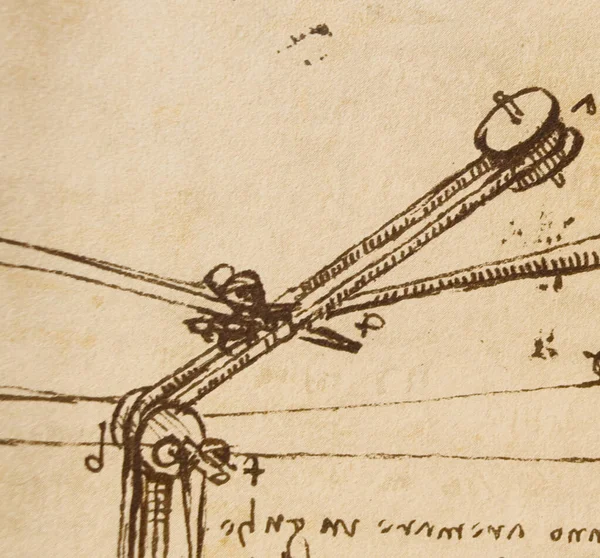 Manuscrito Desenhos Plantas Leonardo Vinci Antigo Livro Codice Sul Volo — Fotografia de Stock