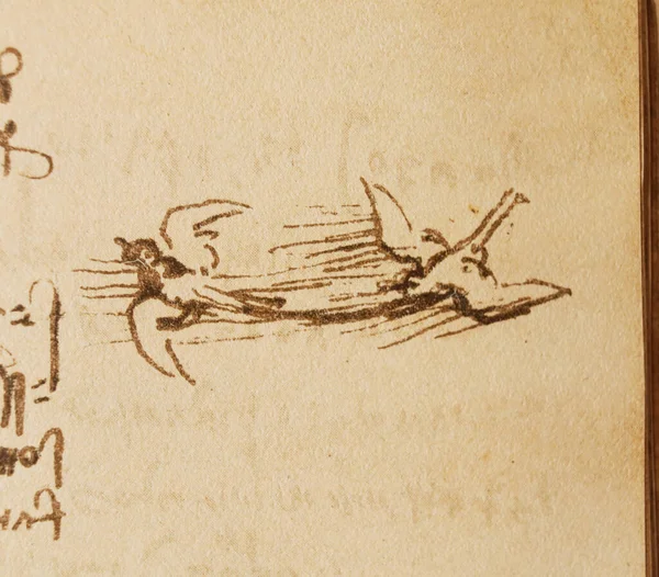 Rukopis Kresby Ptačí Let Leonarda Vinciho Staré Knize Codice Sul — Stock fotografie