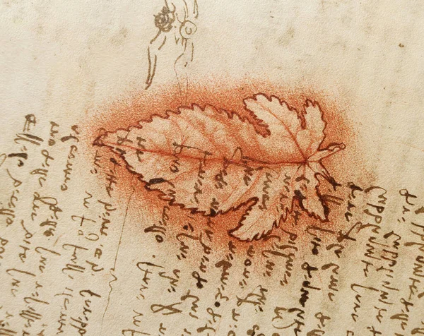 stock image Manuscript, drawings, red leaf, blueprints by Leonardo Da Vinci in the old book The Codice Sul Volo, by E. Rouveyre , 1893