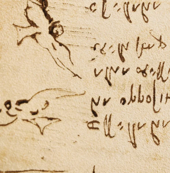 Rękopis Rysunki Lot Ptaków Leonarda Vinci Starej Książce Codice Sul — Zdjęcie stockowe
