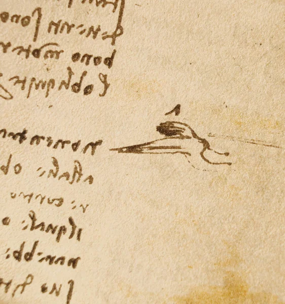 Рукопис Малюнки Написи Птахи Леонардо Вінчі Старій Книзі Кодиця Суль — стокове фото
